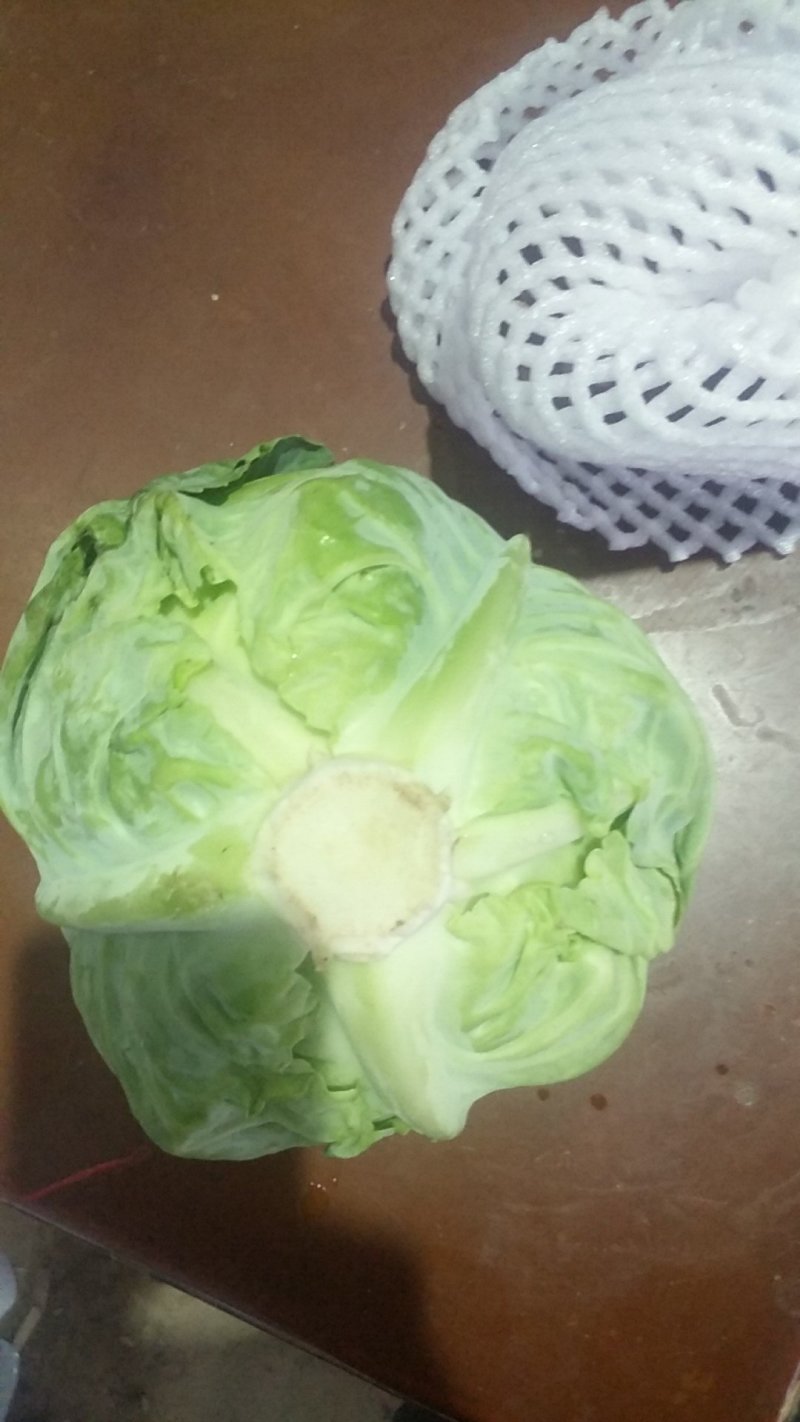 甘蓝大量有货