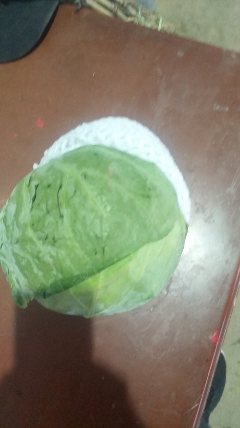 甘蓝大量有货