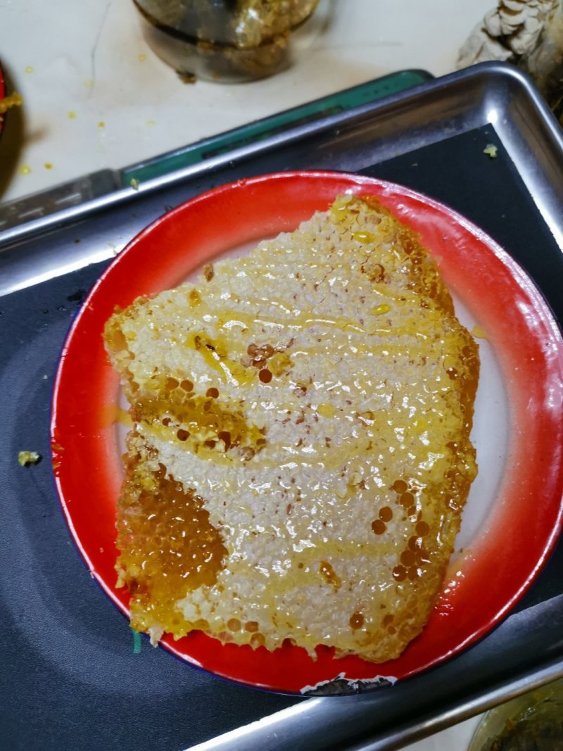湖北蜂蜜精品土蜂蜜全国发货保证质量可视频看货