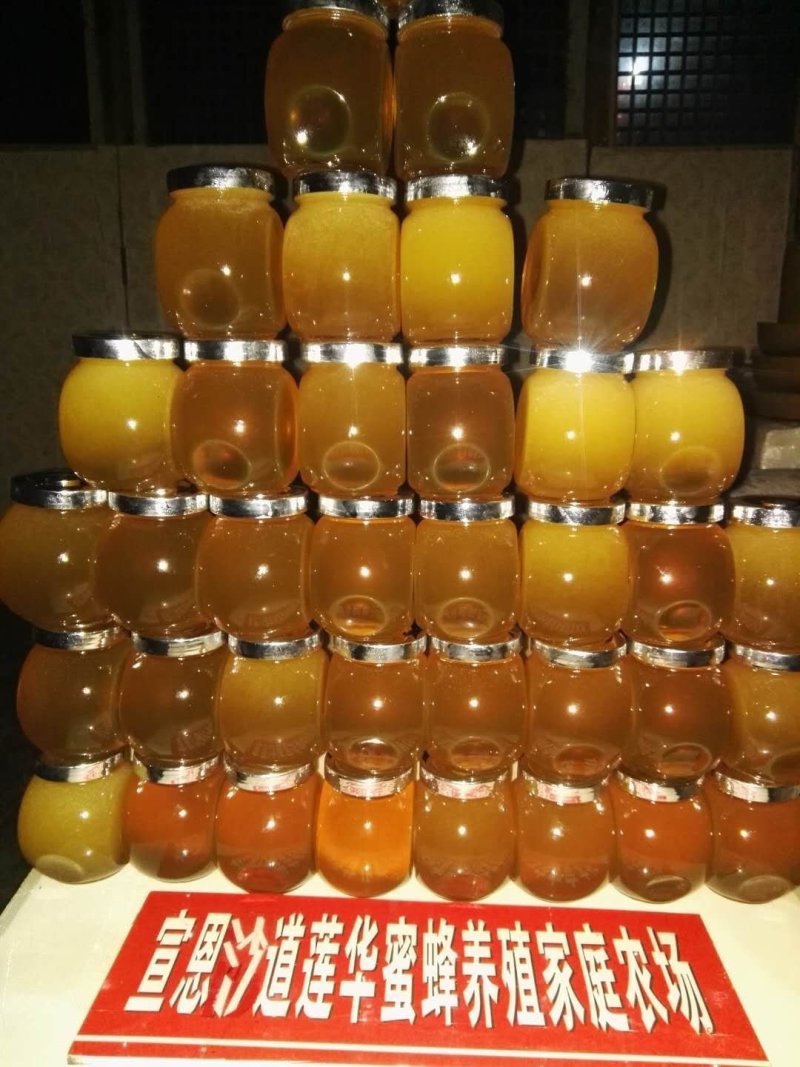 湖北蜂蜜精品土蜂蜜全国发货保证质量可视频看货