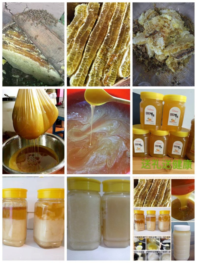湖北蜂蜜精品土蜂蜜全国发货保证质量可视频看货