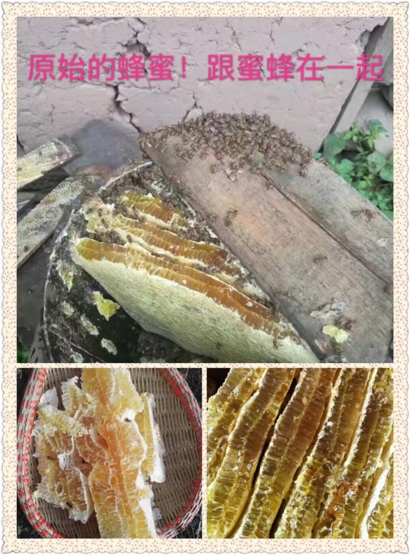 湖北蜂蜜精品土蜂蜜全国发货保证质量可视频看货