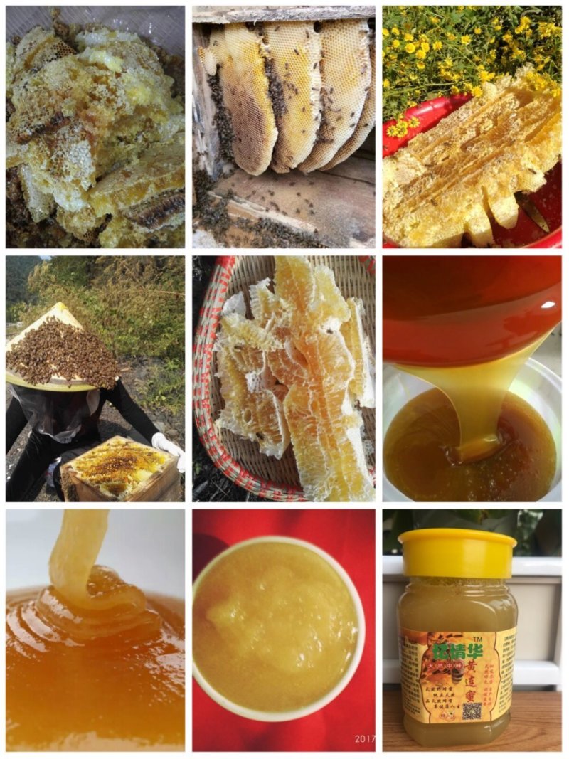 湖北蜂蜜精品土蜂蜜全国发货保证质量可视频看货