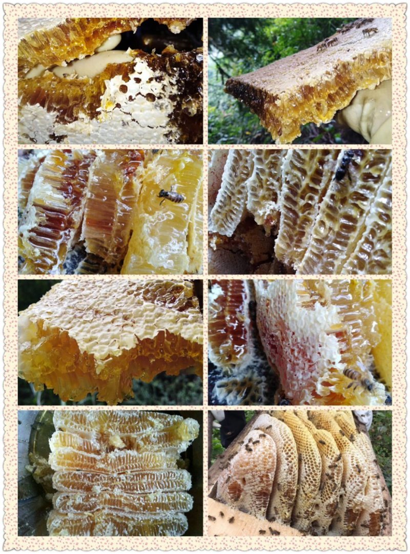 湖北蜂蜜精品土蜂蜜全国发货保证质量可视频看货