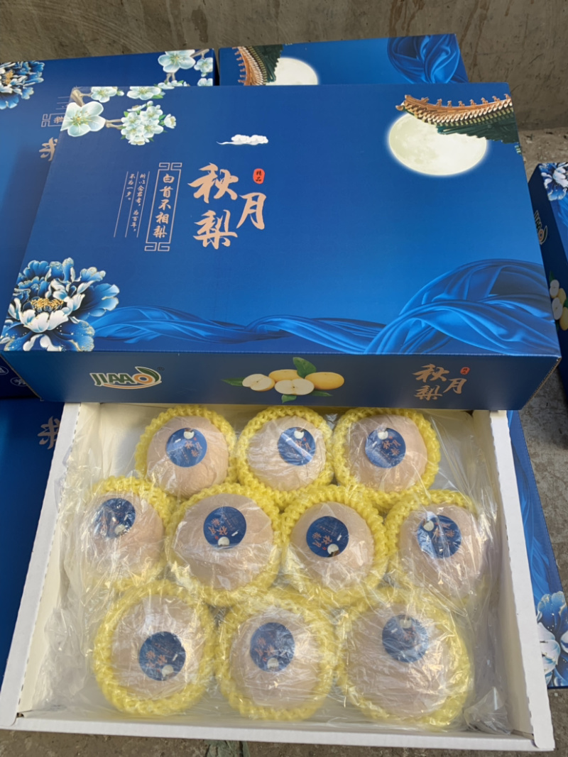 丰水梨