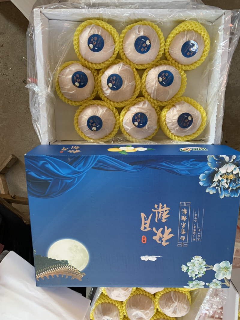 丰水梨