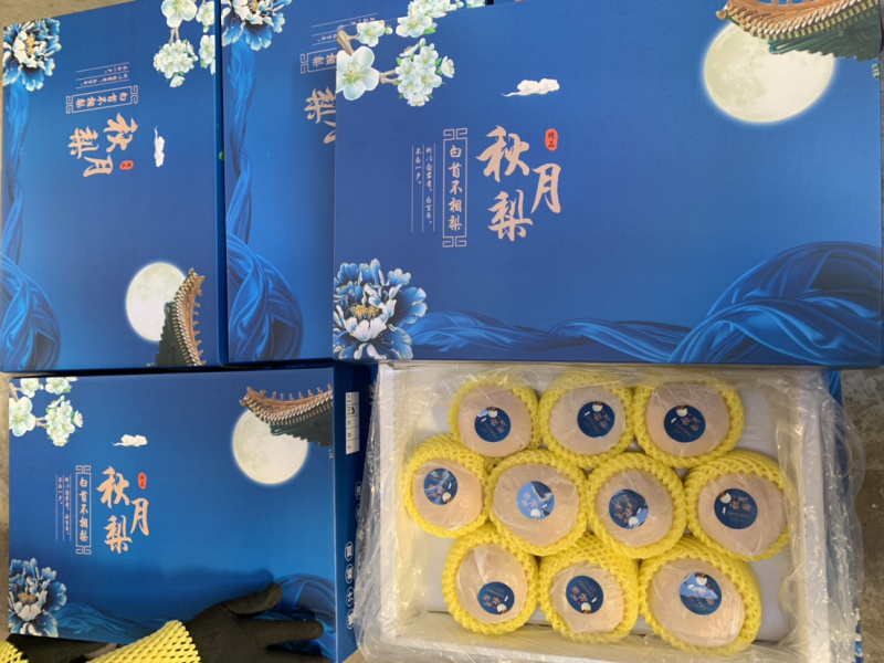 丰水梨