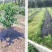 园艺地布农用大棚防草布园林果树遮草布盖草席保湿除草透气