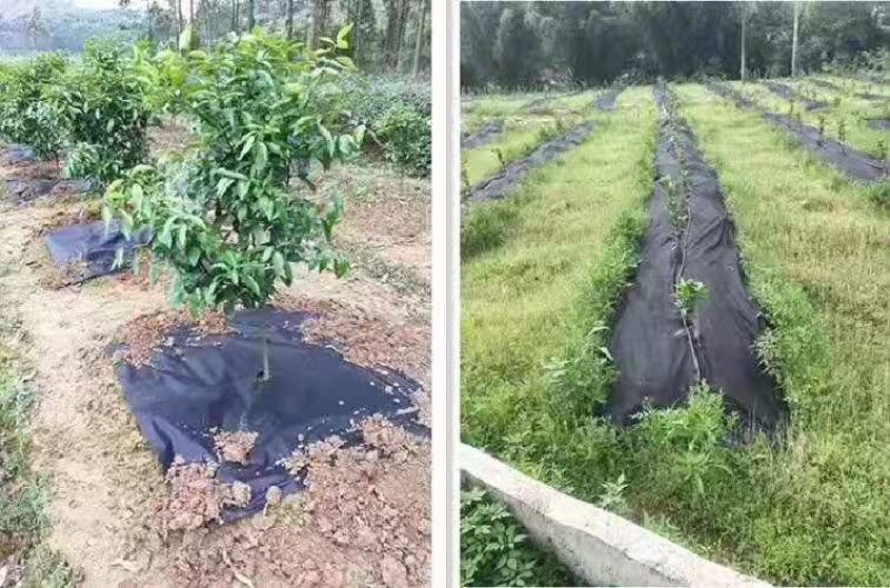 园艺地布农用大棚防草布园林果树遮草布盖草席保湿除草透气