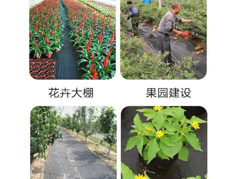 园艺地布农用大棚防草布园林果树遮草布盖草席保湿除草透气