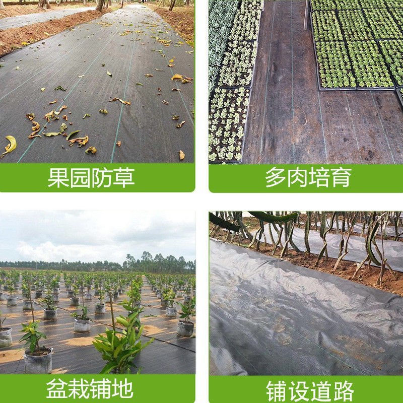 园艺地布农用大棚防草布园林果树遮草布盖草席保湿除草透气