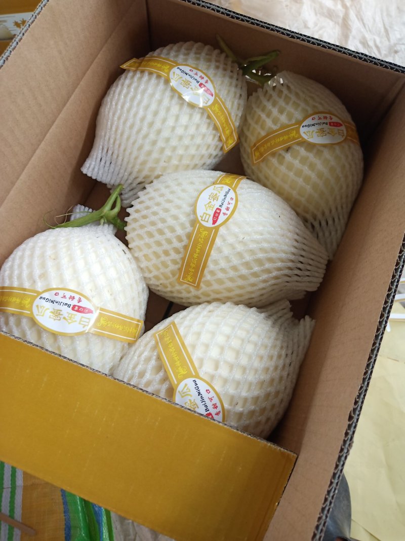 精品甜瓜