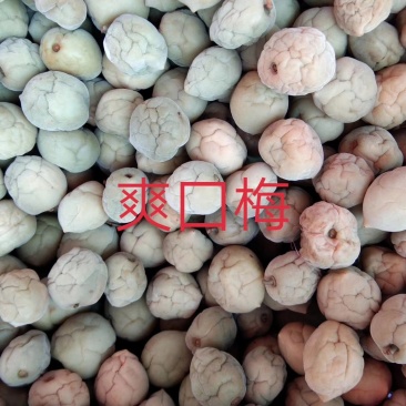 爽口梅(还有流溪话梅)