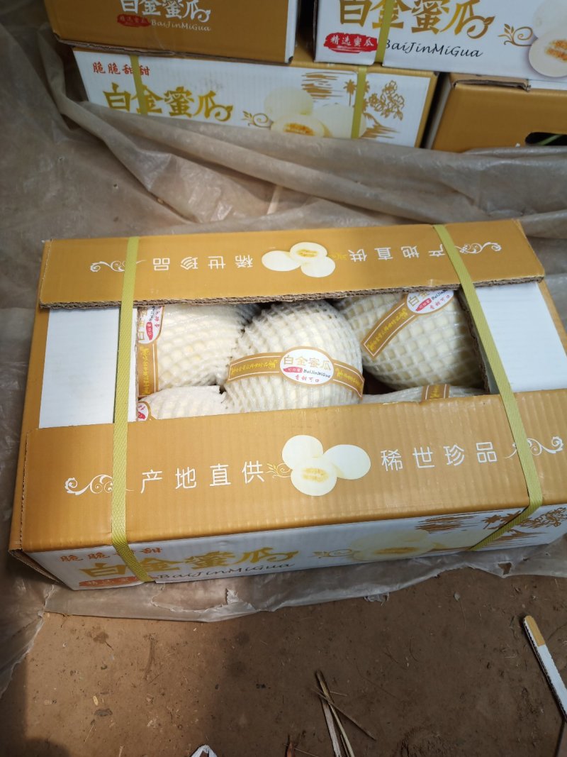 精品甜瓜