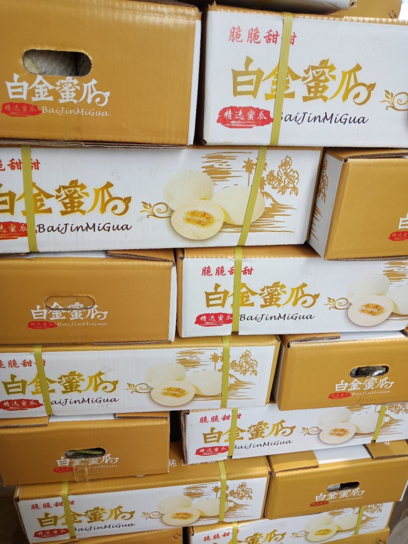 精品甜瓜