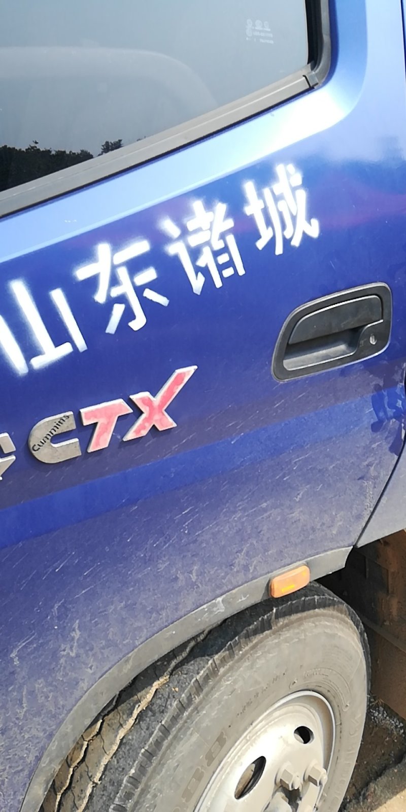 金丝小枣。