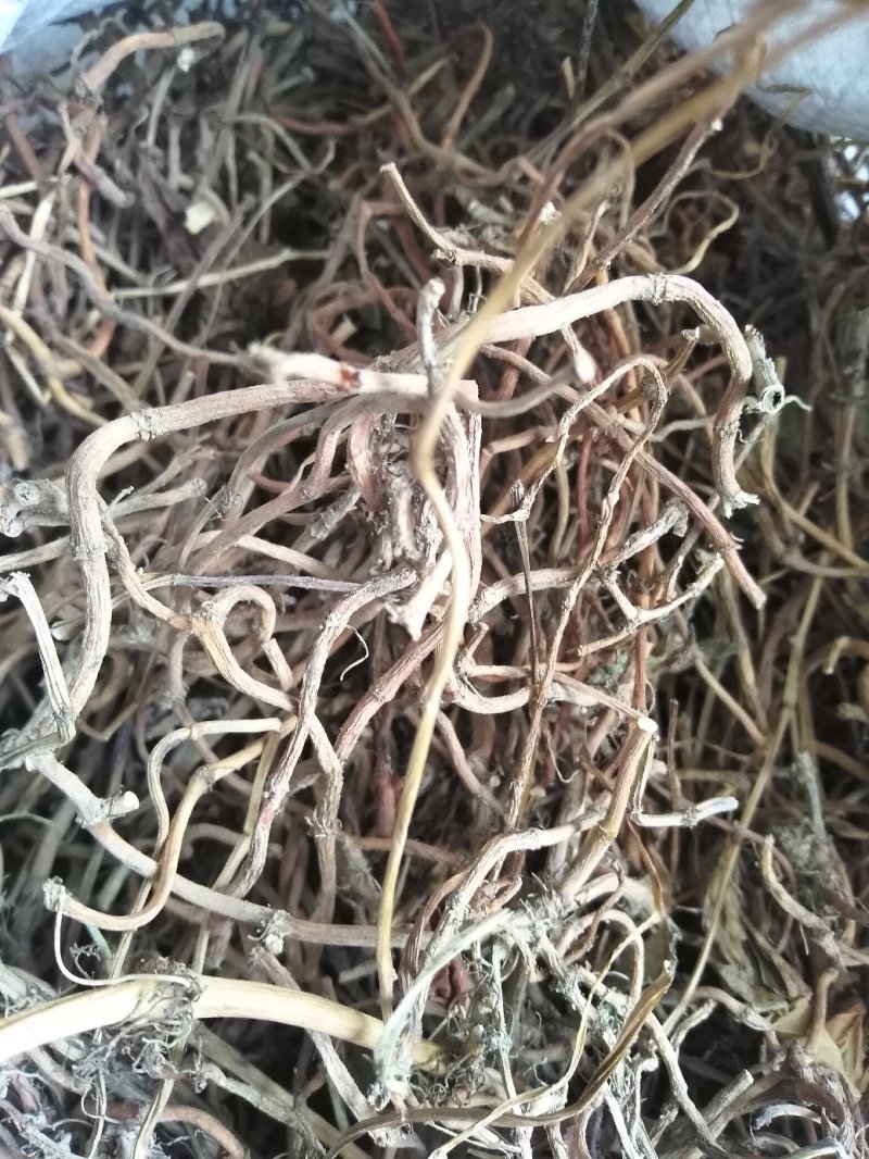 鱼腥草干根，无霉无硫，统货、选货精品均有