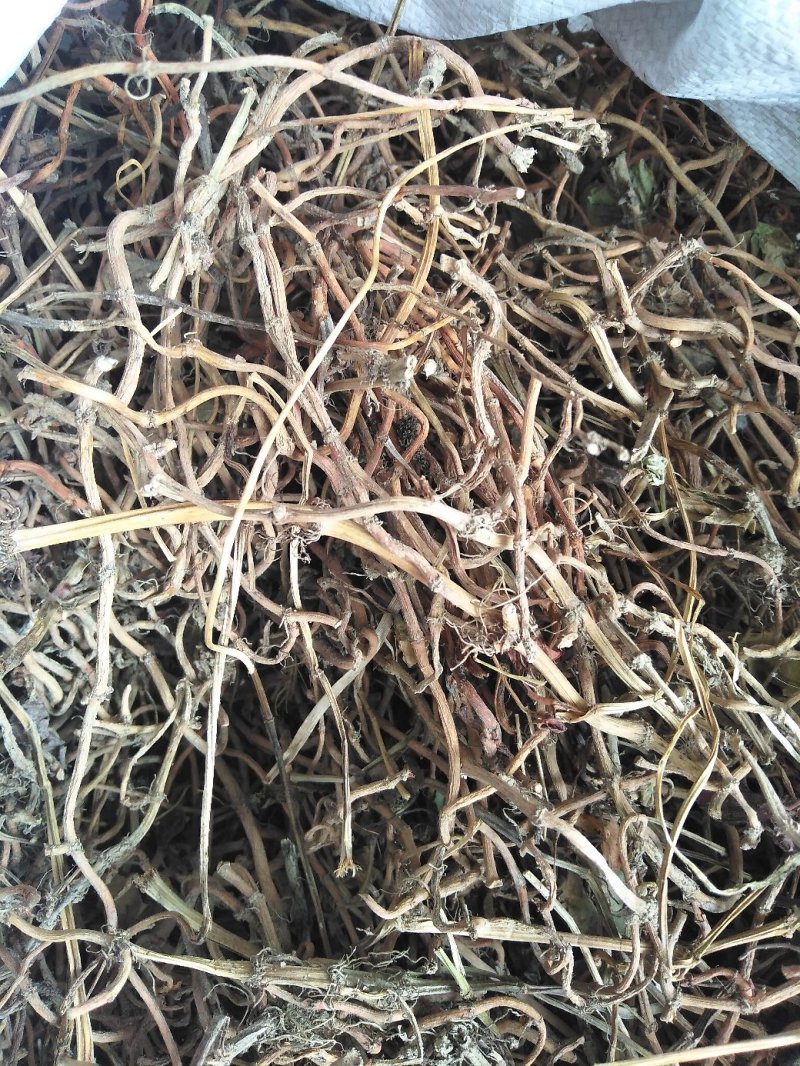 鱼腥草干根，无霉无硫，统货、选货精品均有