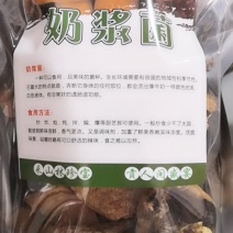 奶浆菌