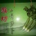 ，潍坊水果萝卜，精品萝卜，，产地直供，