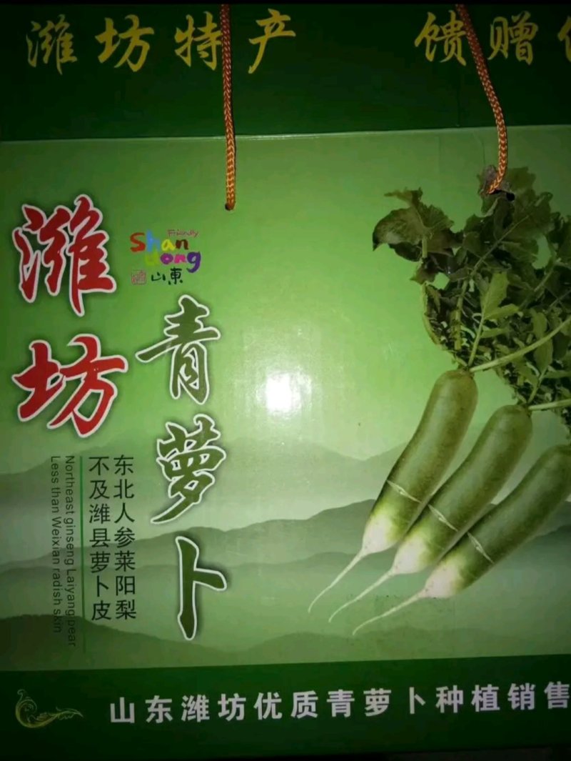 ，潍坊水果萝卜，精品萝卜，，产地直供，