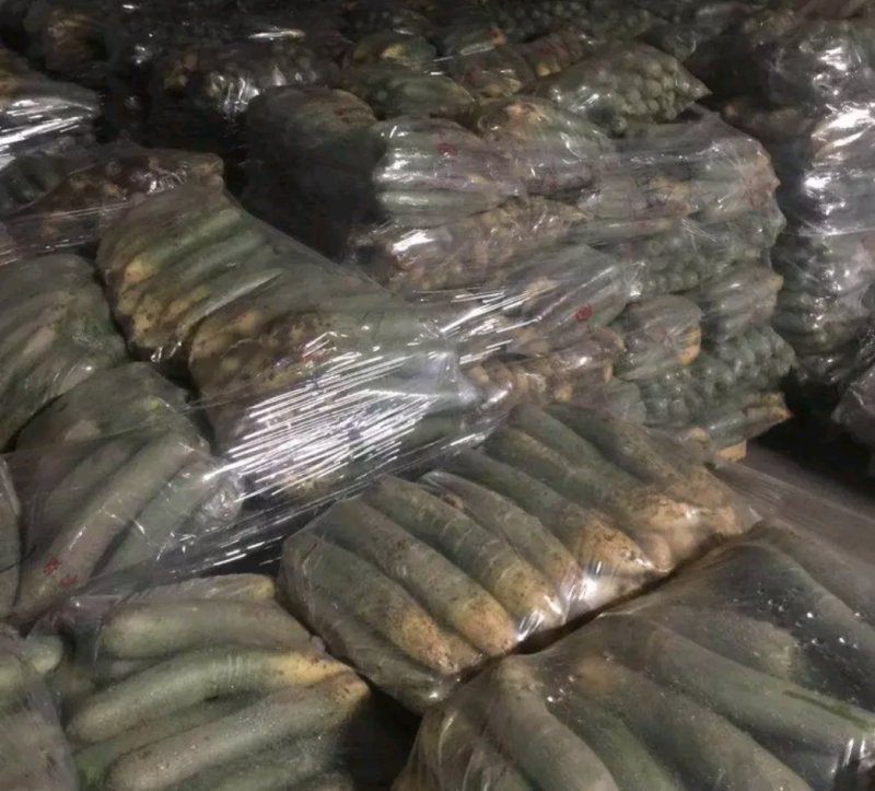 ，潍坊水果萝卜，精品萝卜，，产地直供，