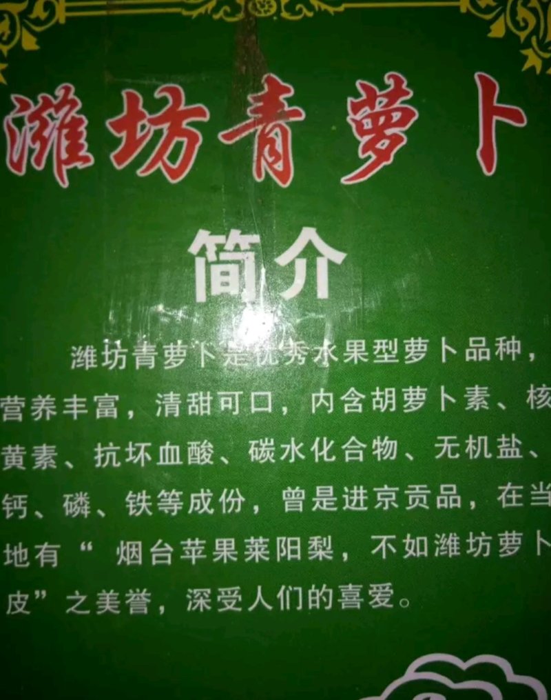 ，潍坊水果萝卜，精品萝卜，，产地直供，