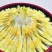 精品霸王花
