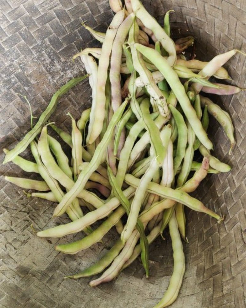 干豆角软壳豆