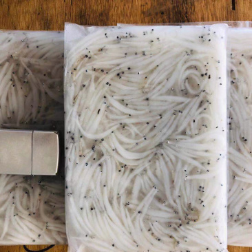澜沧江库区速冻银鱼，银鱼干