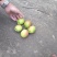 库尔勒香梨，新疆香梨