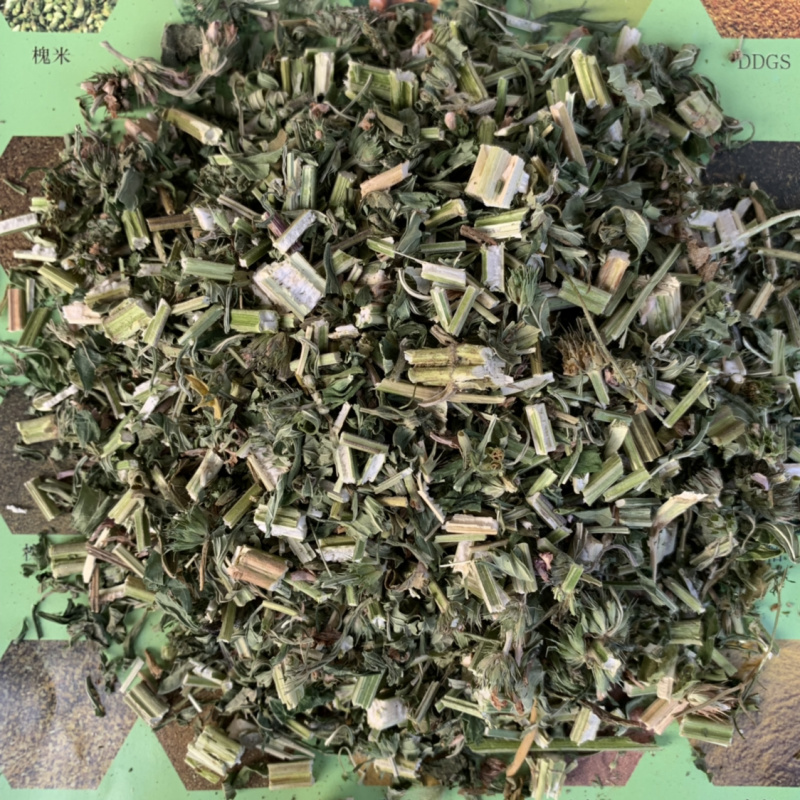益母草