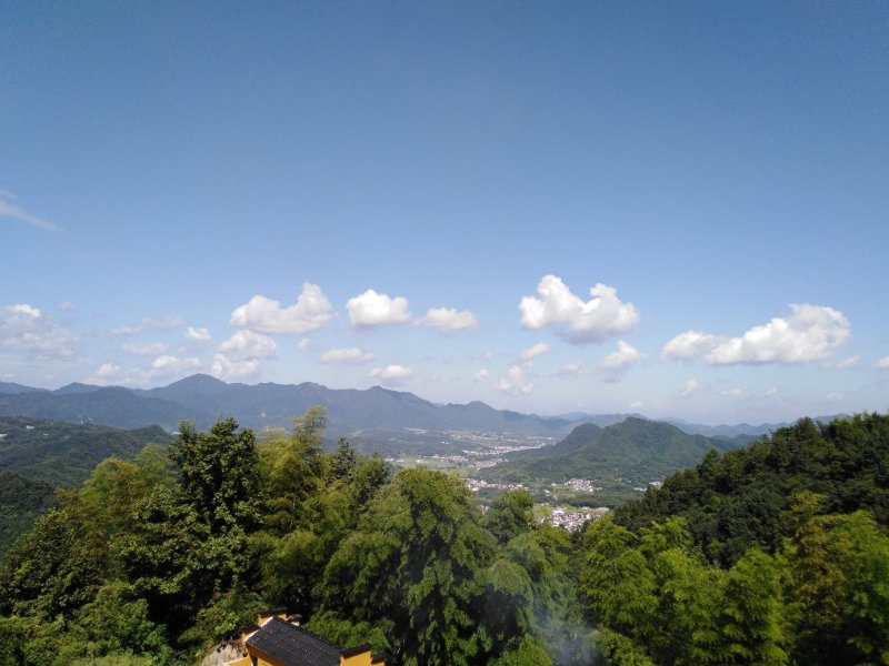 【热卖】灵芝纯野生赤灵芝干货12公分以上包邮