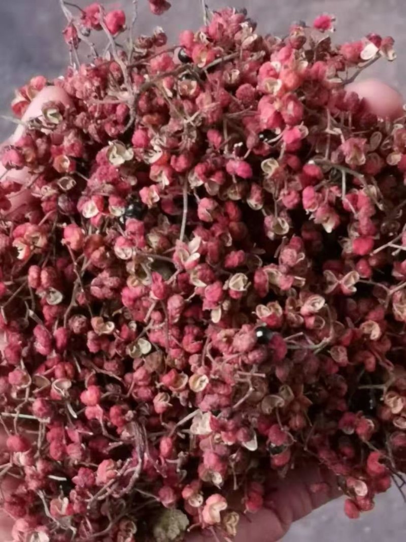 【包邮】大红袍花椒梅花椒一件代发味道嘛色泽好颗粒大