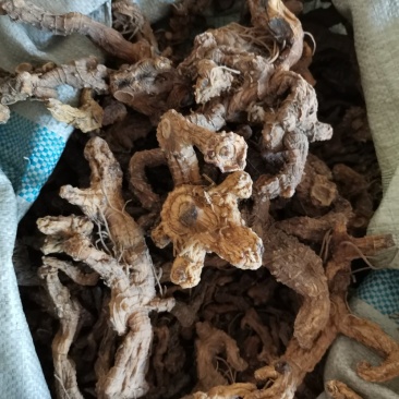 野生黄精，大别山高含量野生黄精统货