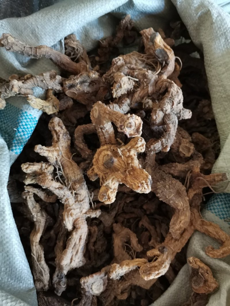 野生黄精，大别山高含量野生黄精统货