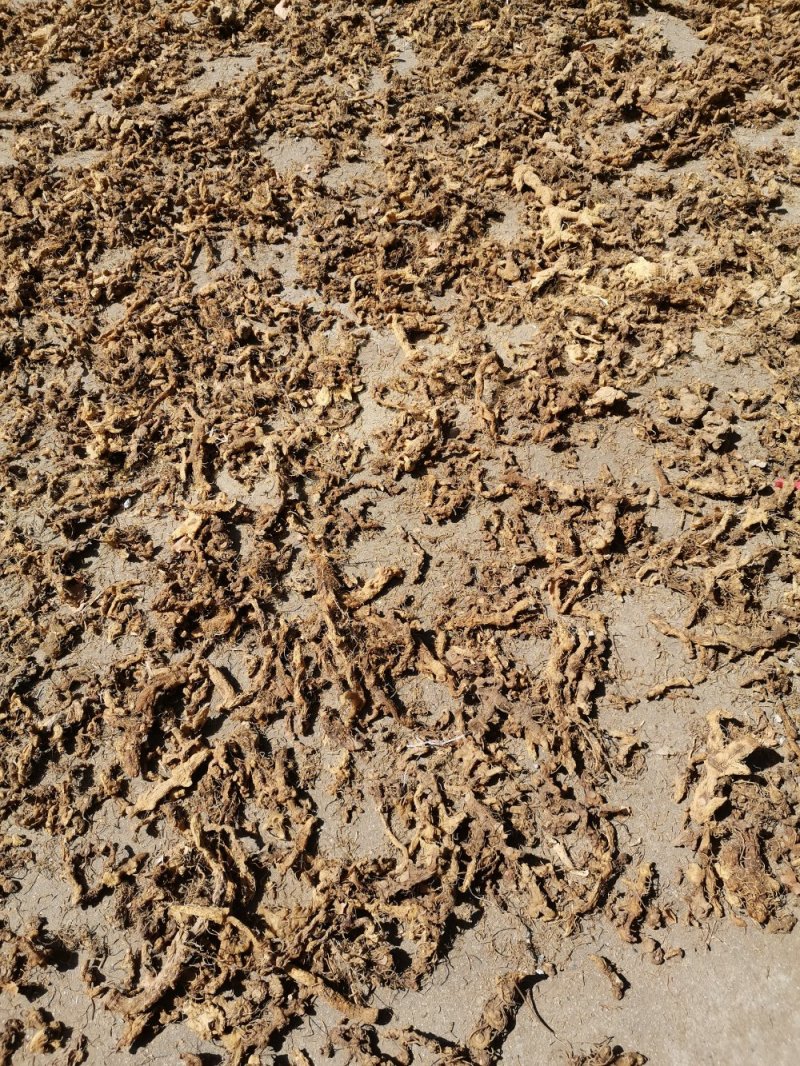 野生黄精，大别山高含量野生黄精统货