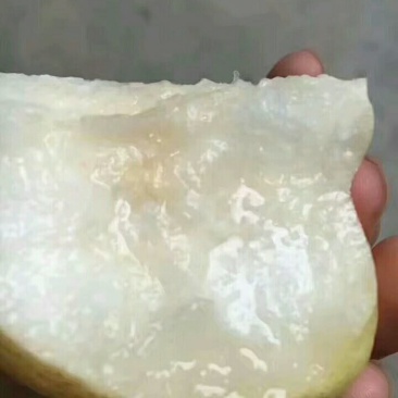 酥梨纸袋450~500g