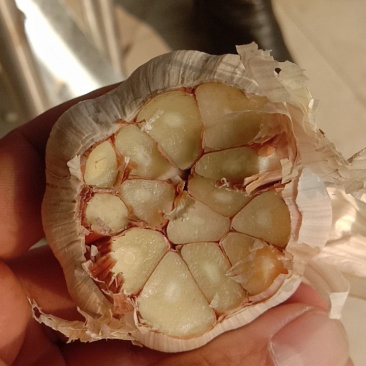 大蒜原料