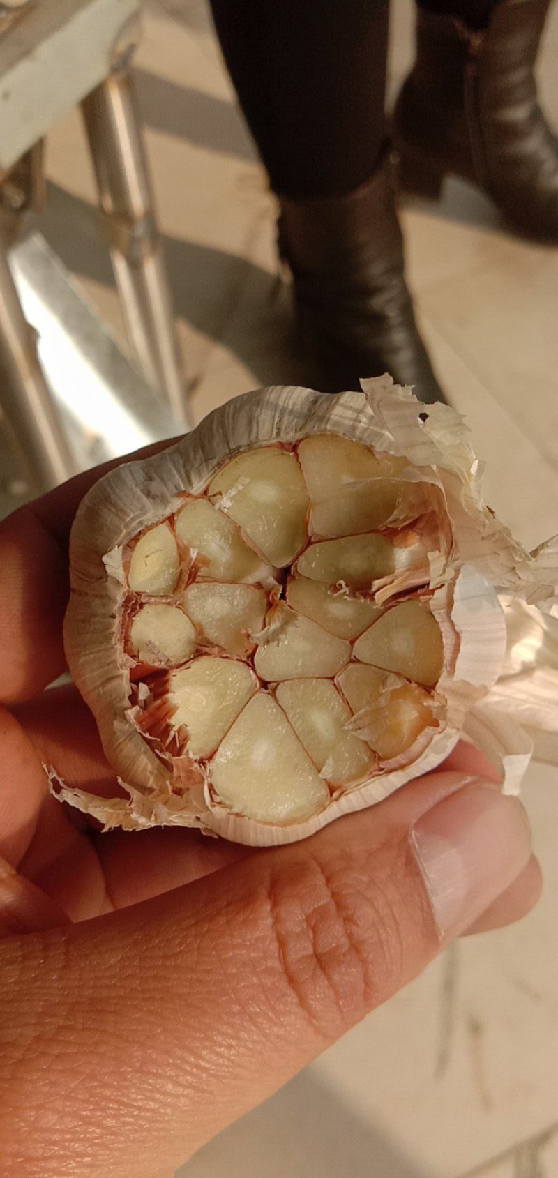 大蒜原料