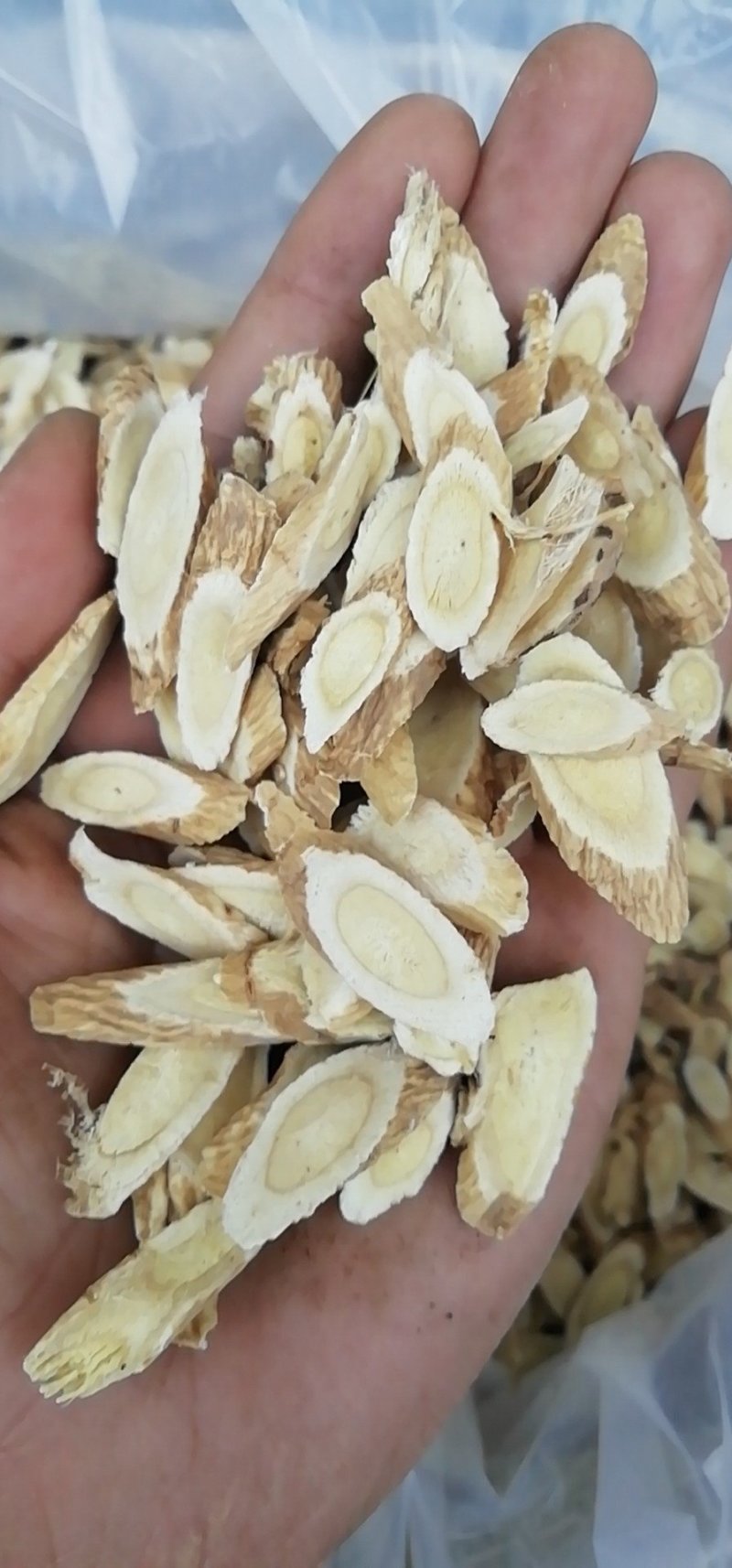 黄芪指甲片0.8-1.2统货基地直发品质保证