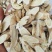 黄芪指甲片0.8-1.2统货基地直发品质保证