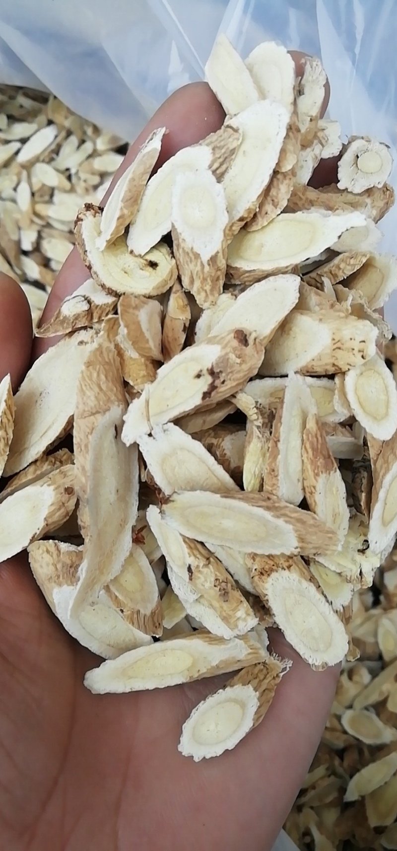 黄芪指甲片0.8-1.2统货基地直发品质保证