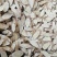 黄芪指甲片0.8-1.2统货基地直发品质保证