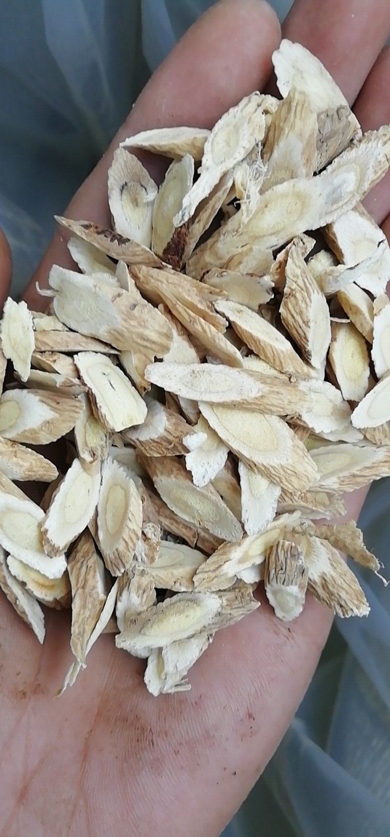 黄芪指甲片0.8-1.2统货基地直发品质保证