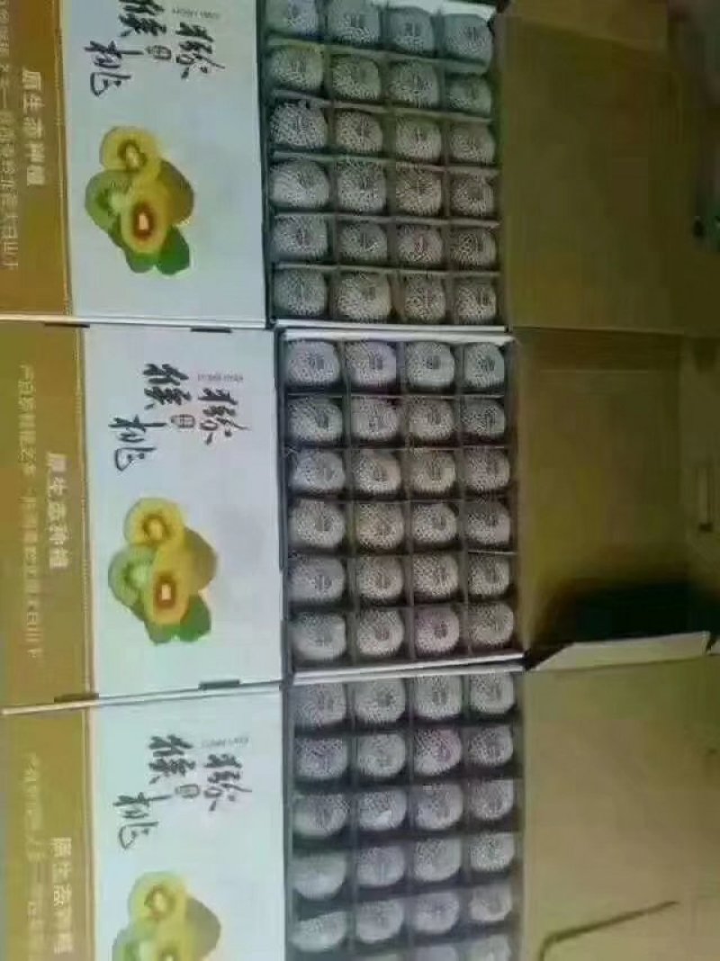 獼猴桃
