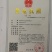 梓树、梓树小苗、三到十五公分梓树、优质梓树、规格齐全、产
