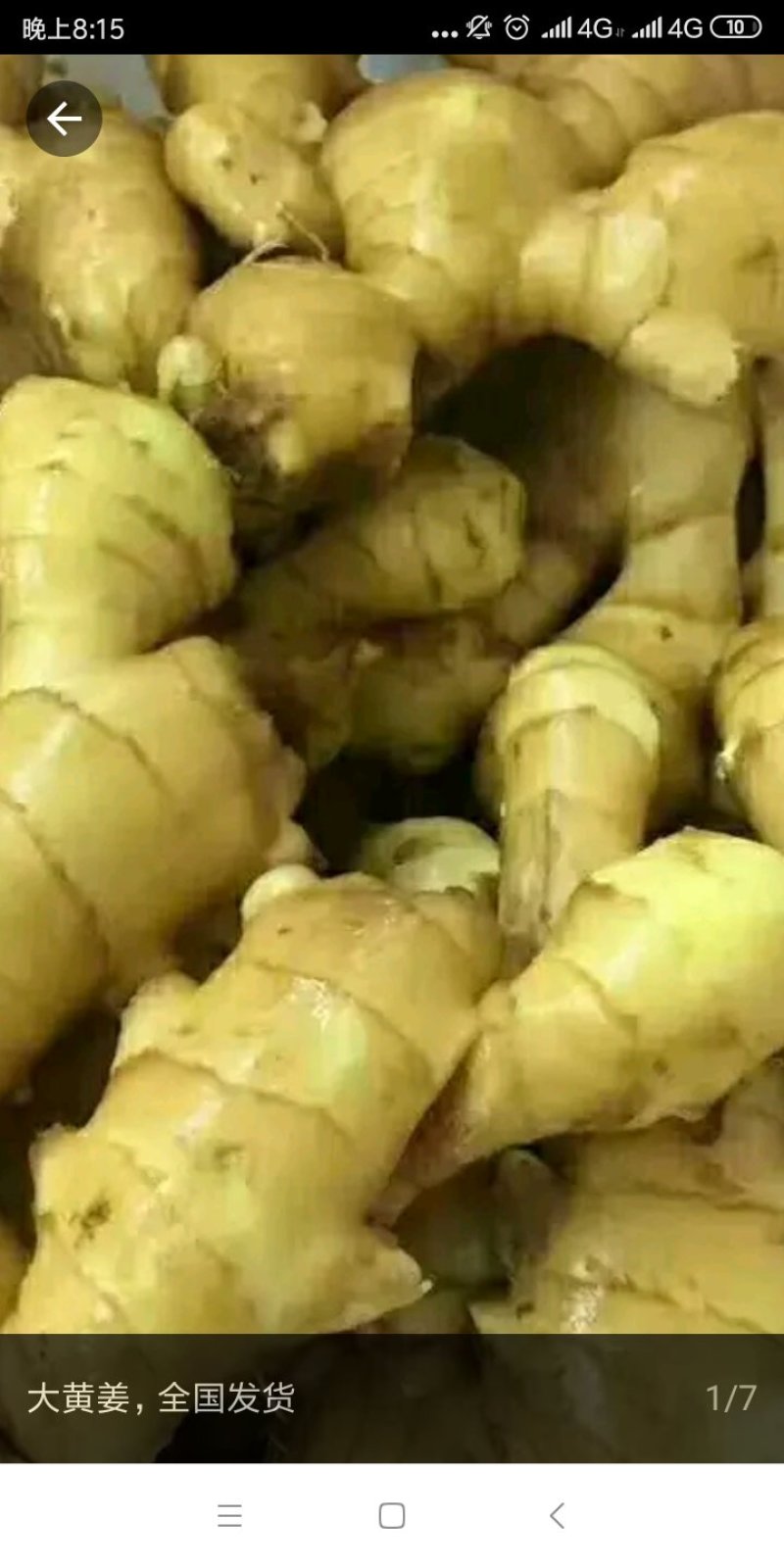 大黄姜
