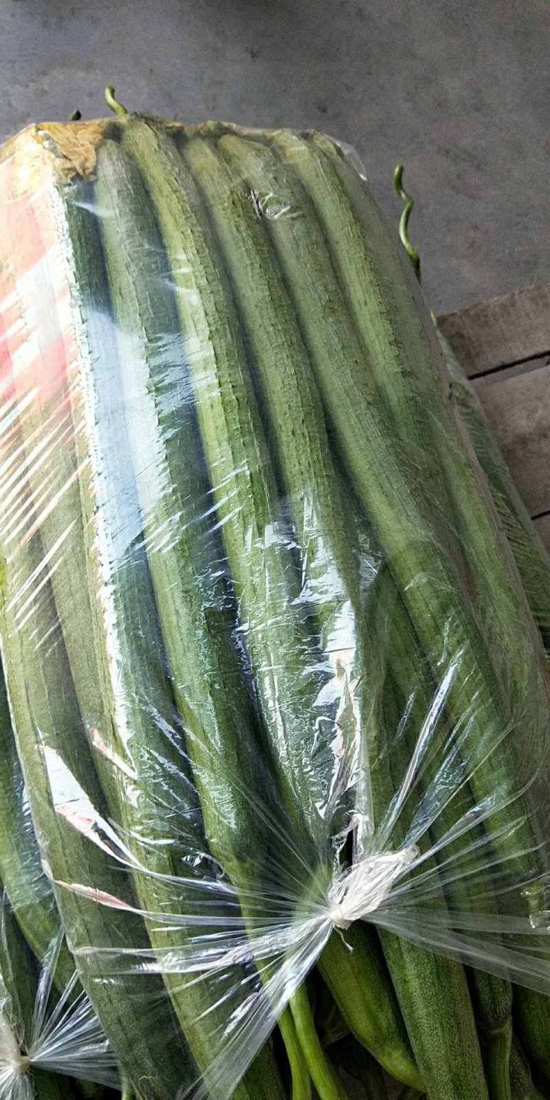 河北邯郸精品丝瓜长期供应量大价优一手货源