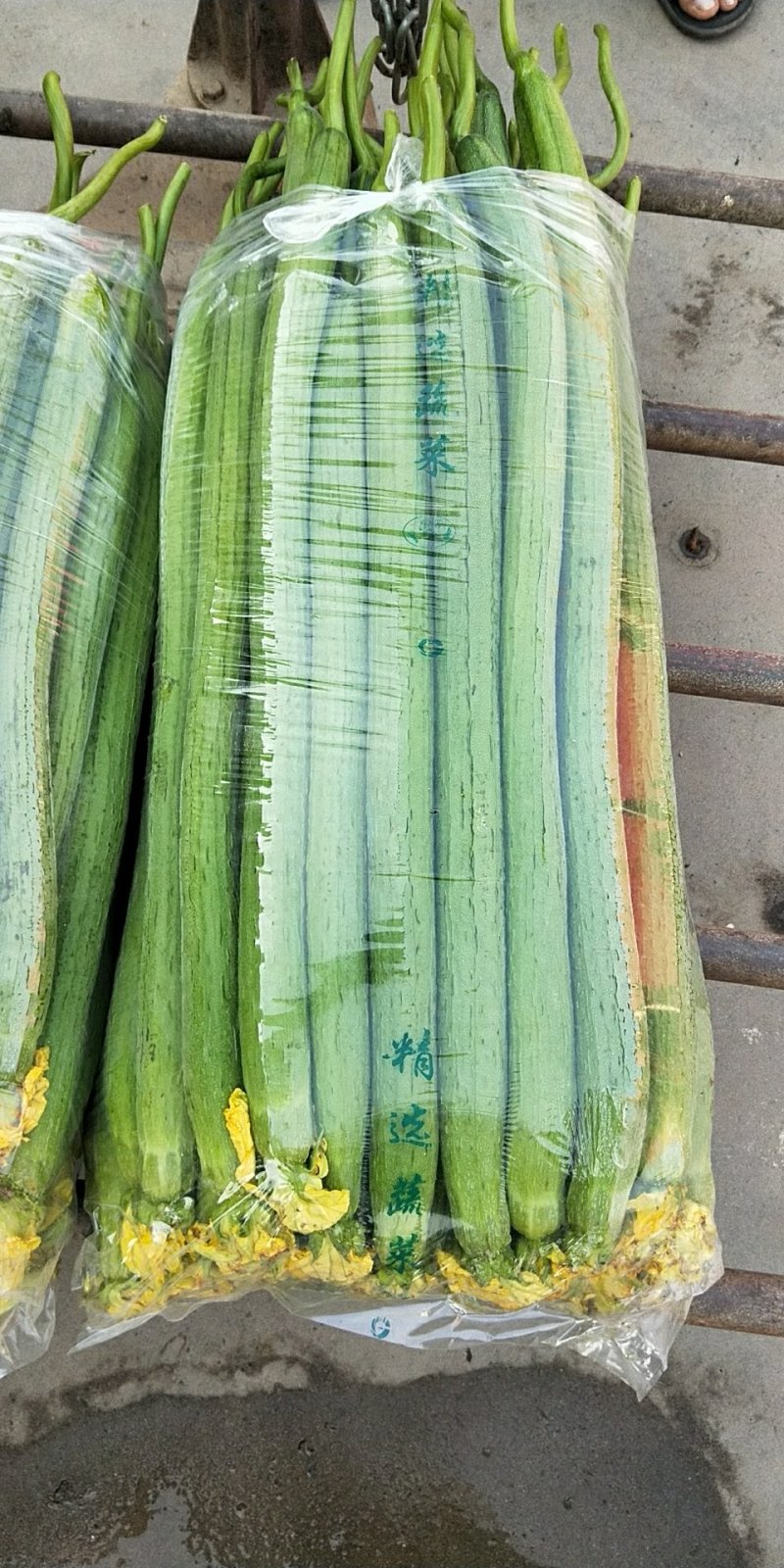 河北邯郸精品丝瓜长期供应量大价优一手货源